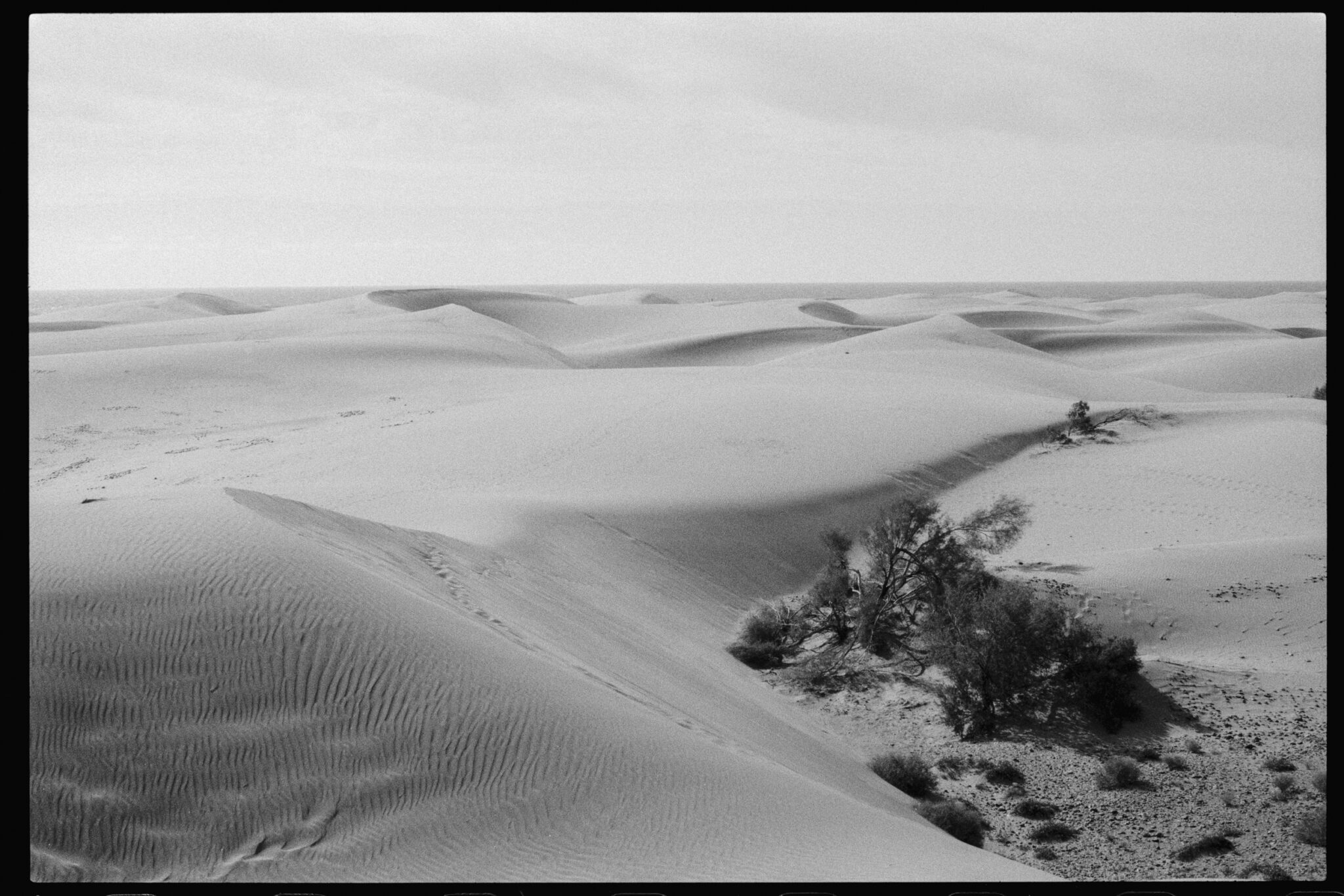 Dunas de Maspalomas