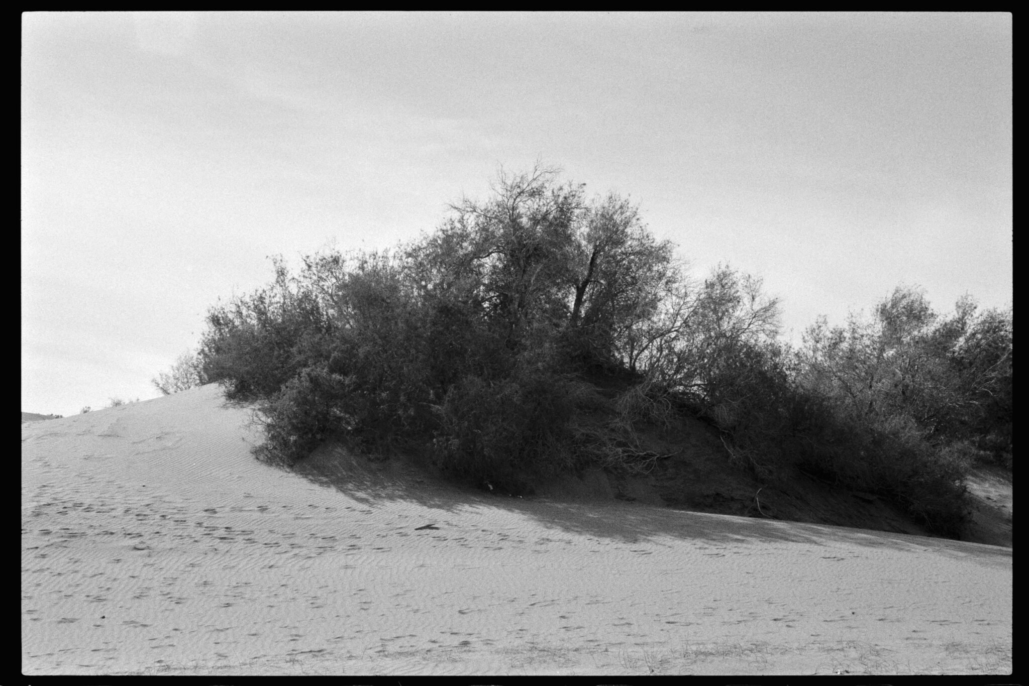 Dunas de Maspalomas