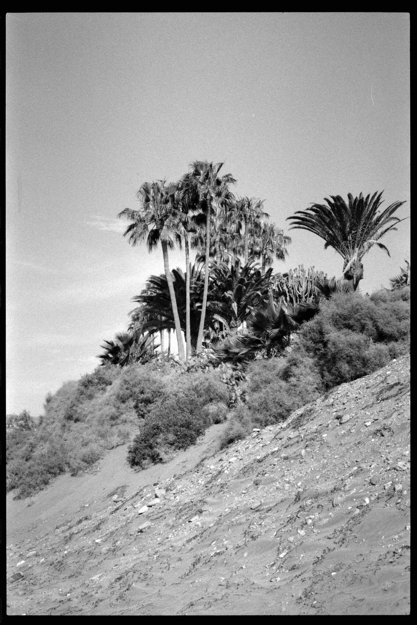 Dunas de Maspalomas