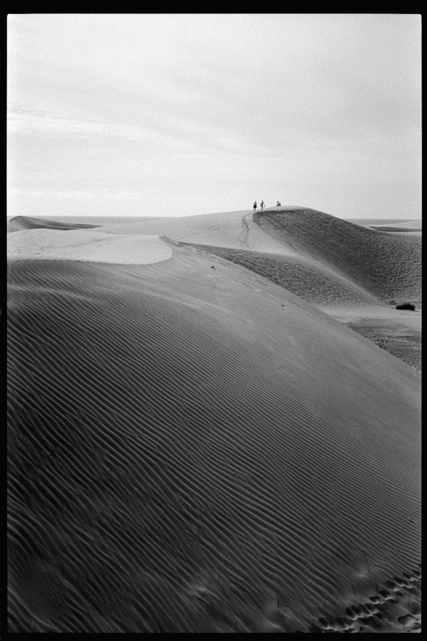 Dunas de Maspalomas