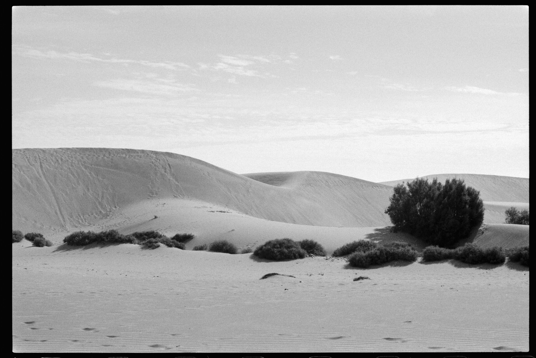 Dunas de Maspalomas