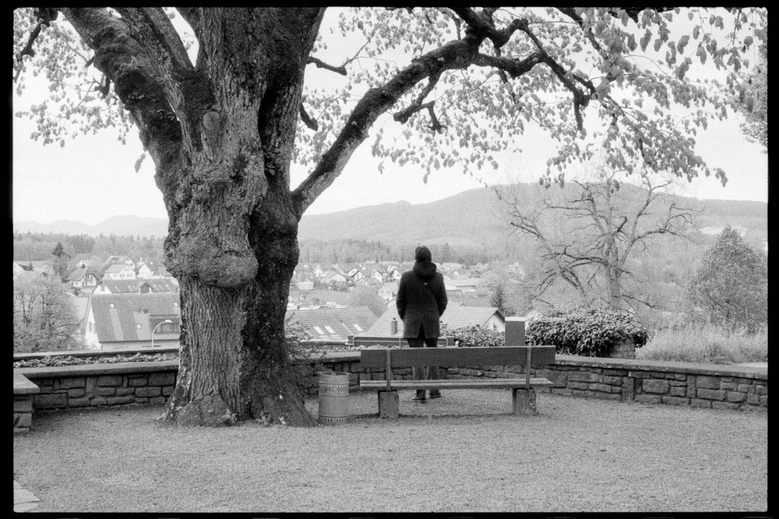 Copyright: Anna Baptist Photography, www.annabaptist.com